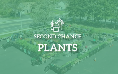 Second Chance Plants